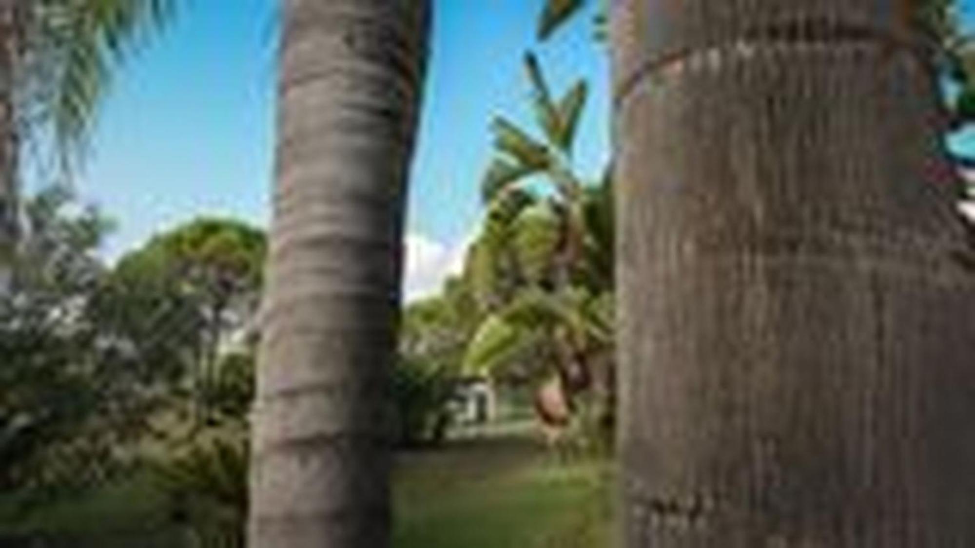 Welcomely - Villa Adele Costa Rei Exteriör bild