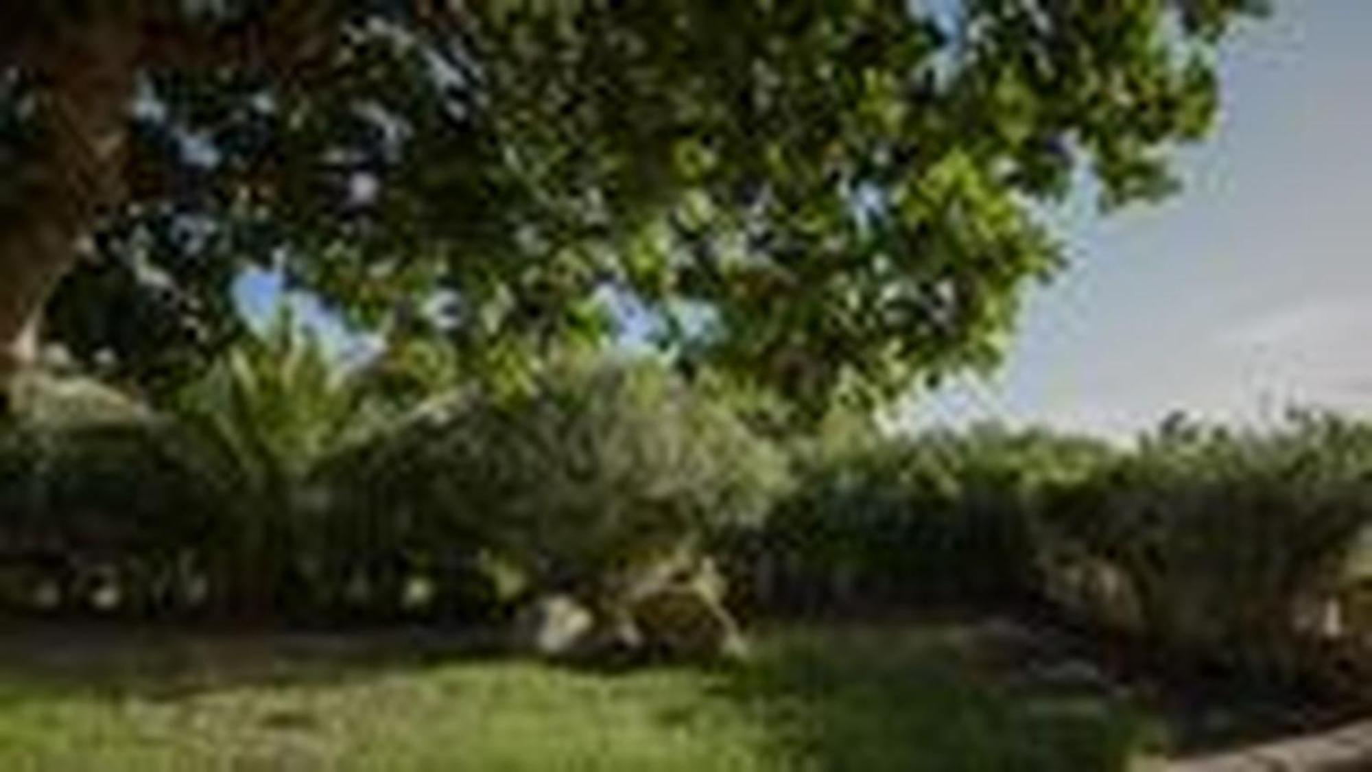 Welcomely - Villa Adele Costa Rei Exteriör bild